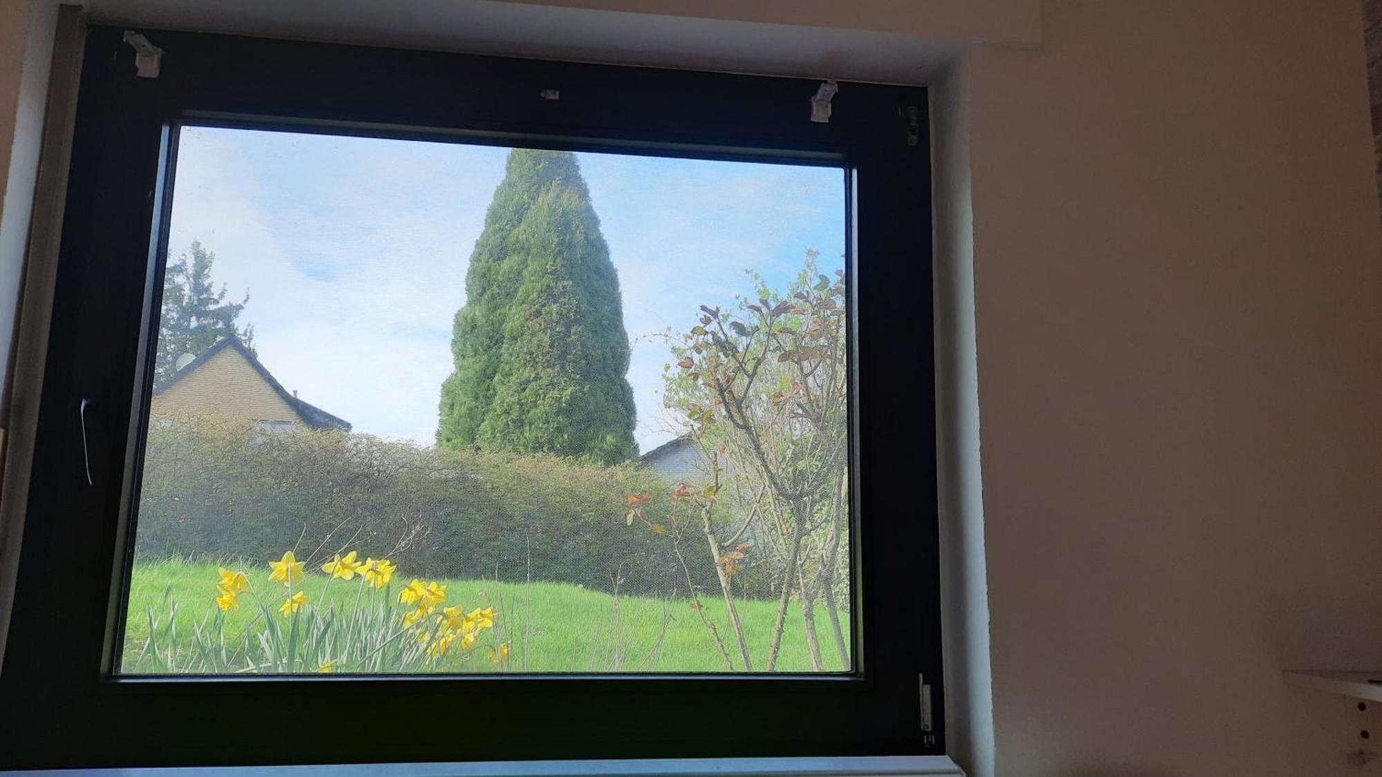 Kleine Ferienwohnung In Ruhiger Lage Herzogenrath Dış mekan fotoğraf